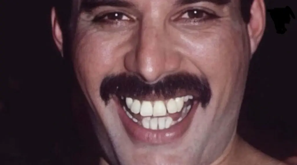 Freddie Mercury Teeth